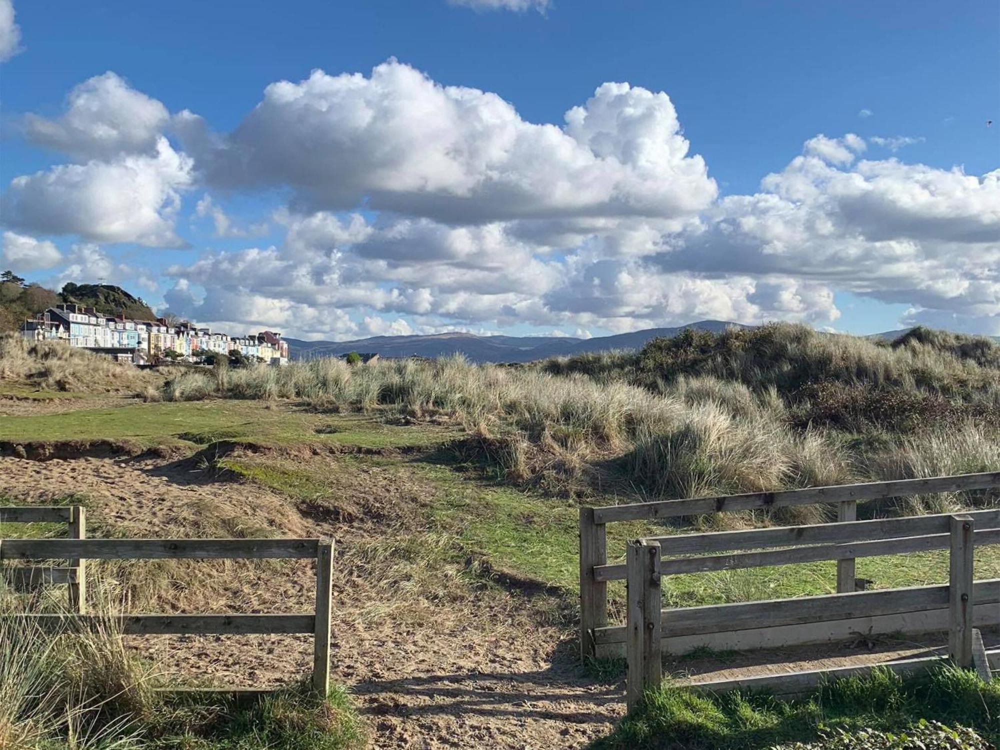 Vila Driftwood Aberdyfi Exteriér fotografie